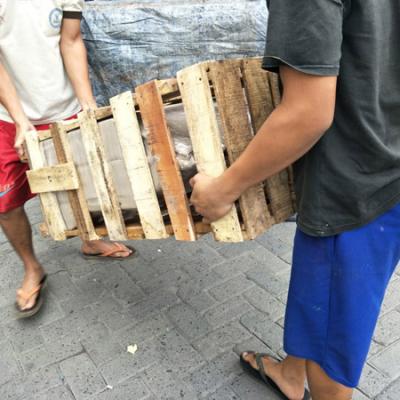 Pengantaran Setrika Automatic Kenstar